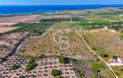 BOZCAADA OVA MEVKİİ'NDE DENİZE YAKIN 3710M2 SATILIK ARSA!