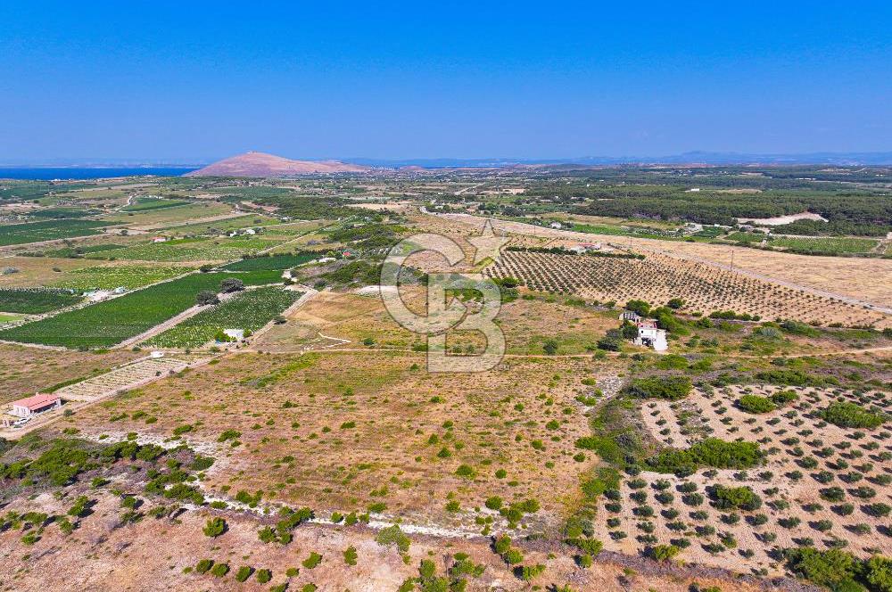 BOZCAADA OVA MEVKİİ'NDE DENİZE YAKIN 3710M2 SATILIK ARSA!