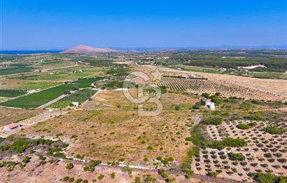 BOZCAADA OVA MEVKİİ'NDE DENİZE YAKIN 3710M2 SATILIK ARSA!