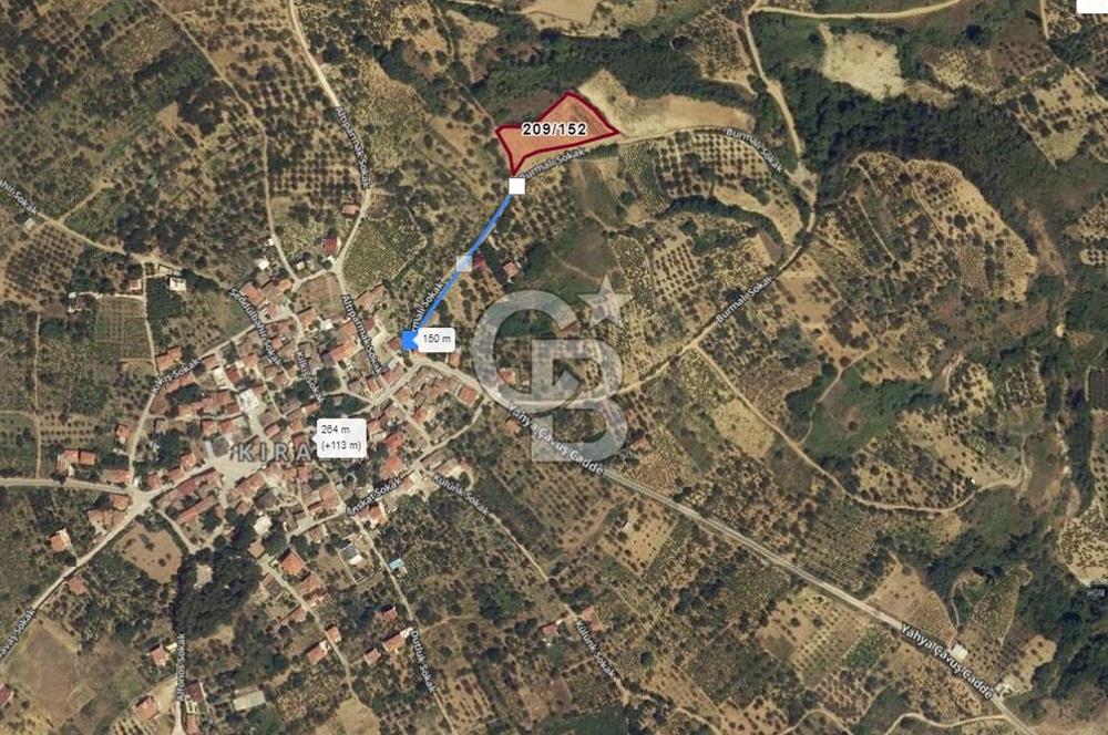 ŞARKÖY KİRAZLIDA  MUHTEŞEM DENİZ VE DOĞA MANZARALI 2460 M2 TARLA