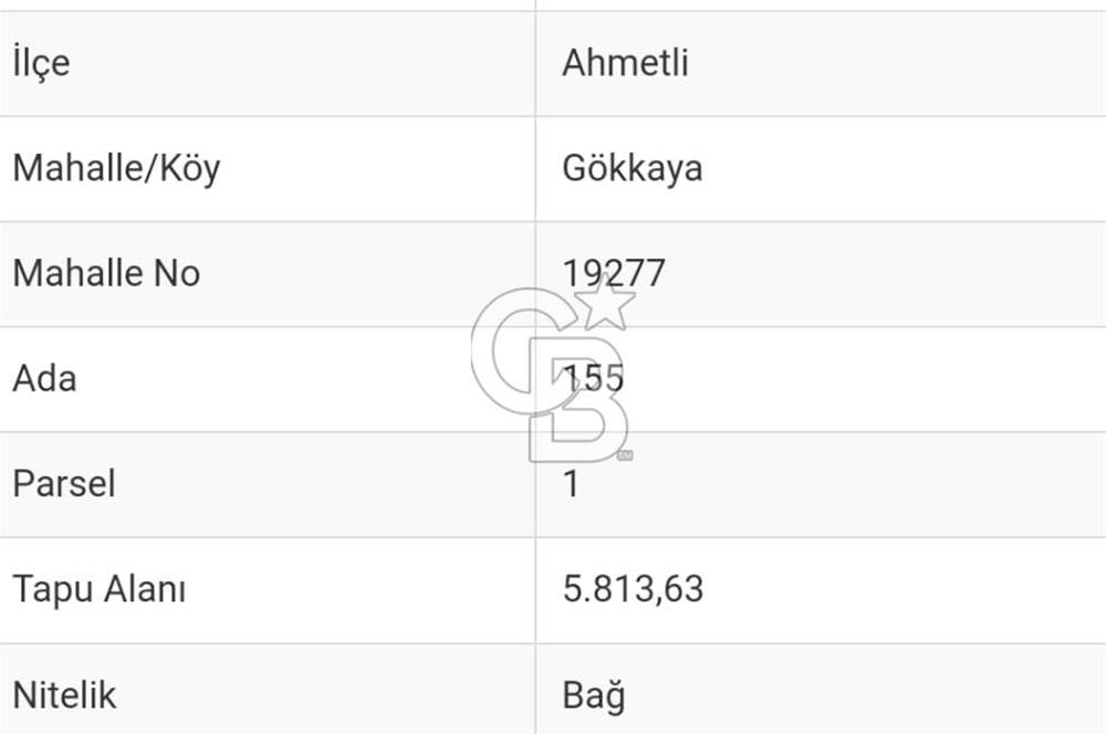 Manisa Gökkaya Köyünde Satılık Anayola 220 Metre Cepheli Tarla