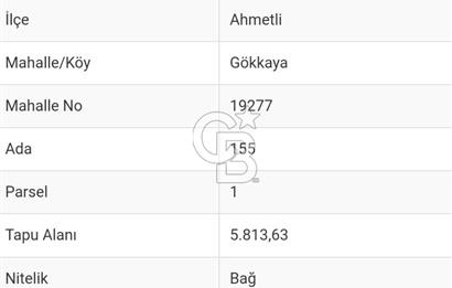 Manisa Gökkaya Köyünde Satılık Anayola 220 Metre Cepheli Tarla