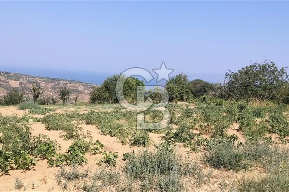 ŞARKÖY KİRAZLIDA  MUHTEŞEM DENİZ VE DOĞA MANZARALI 2460 M2 TARLA