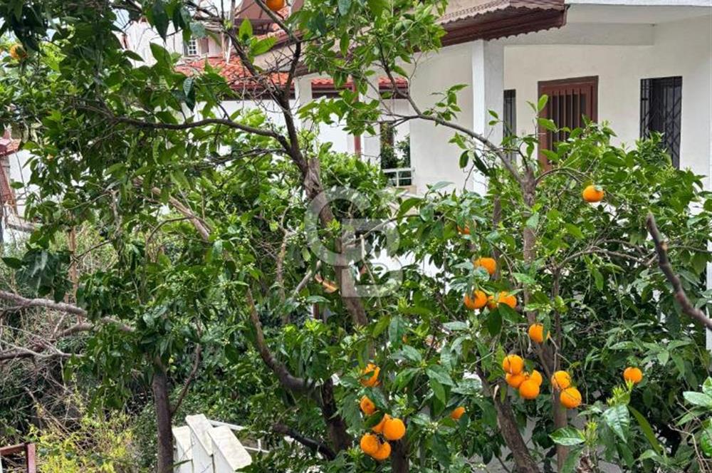 Akyaka’da Satılık İki Daire ve Bir İş Yeri