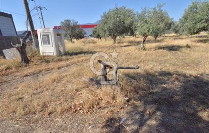 KEMALPAŞA ORGANİZE SANAYİ BÖLGESİNDE SANAYİ İMARLI KÖŞE ARSA