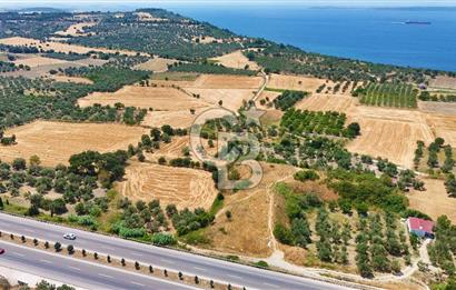 Çanakkale İntepe'de Yola 40m 5.483 M² Satılık Fırsat Tarla !