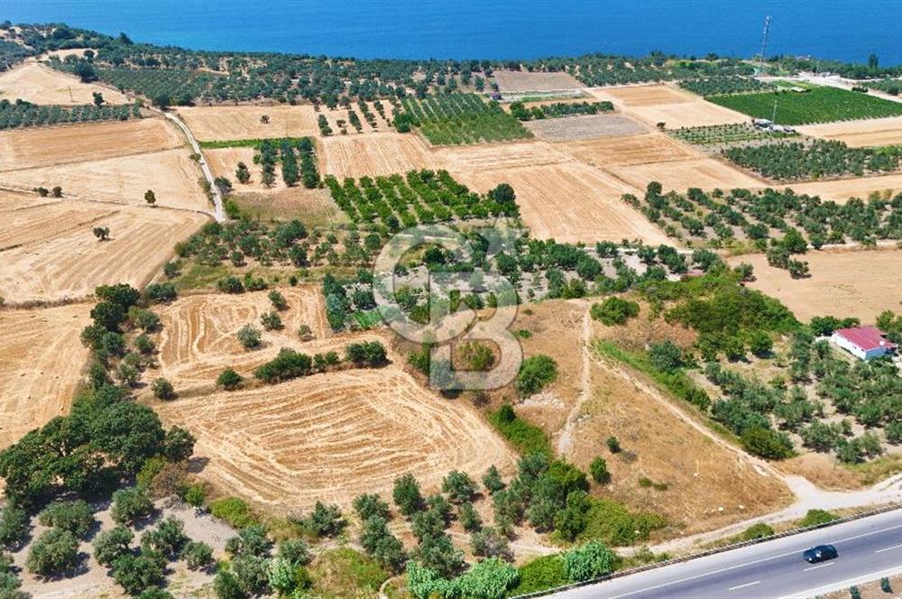 Çanakkale İntepe'de Yola 40m 5.483 M² Satılık Fırsat Tarla !