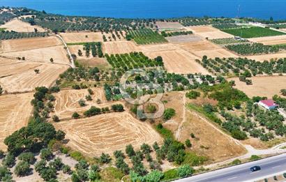 Çanakkale İntepe'de Yola 40m 5.483 M² Satılık Fırsat Tarla !