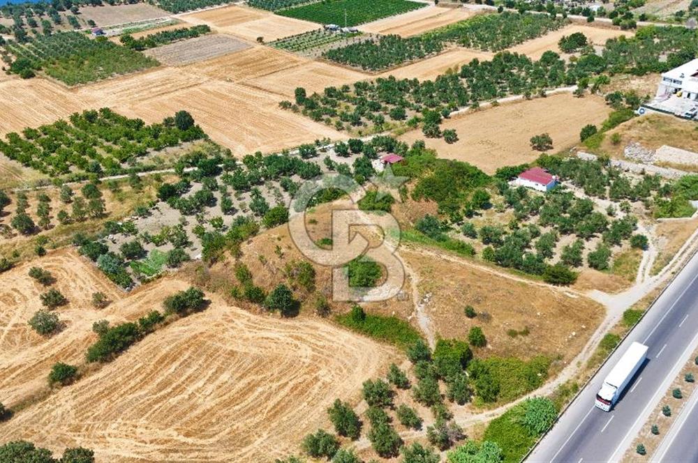 Çanakkale İntepe'de Yola 40m 5.483 M² Satılık Fırsat Tarla !