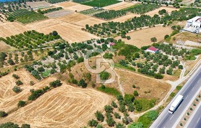 Çanakkale İntepe'de Yola 40m 5.483 M² Satılık Fırsat Tarla !