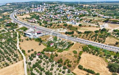 Çanakkale İntepe'de Yola 40m 5.483 M² Satılık Fırsat Tarla !