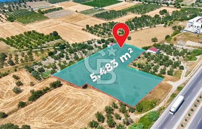 Çanakkale İntepe'de Yola 40m 5.483 M² Satılık Fırsat Tarla !