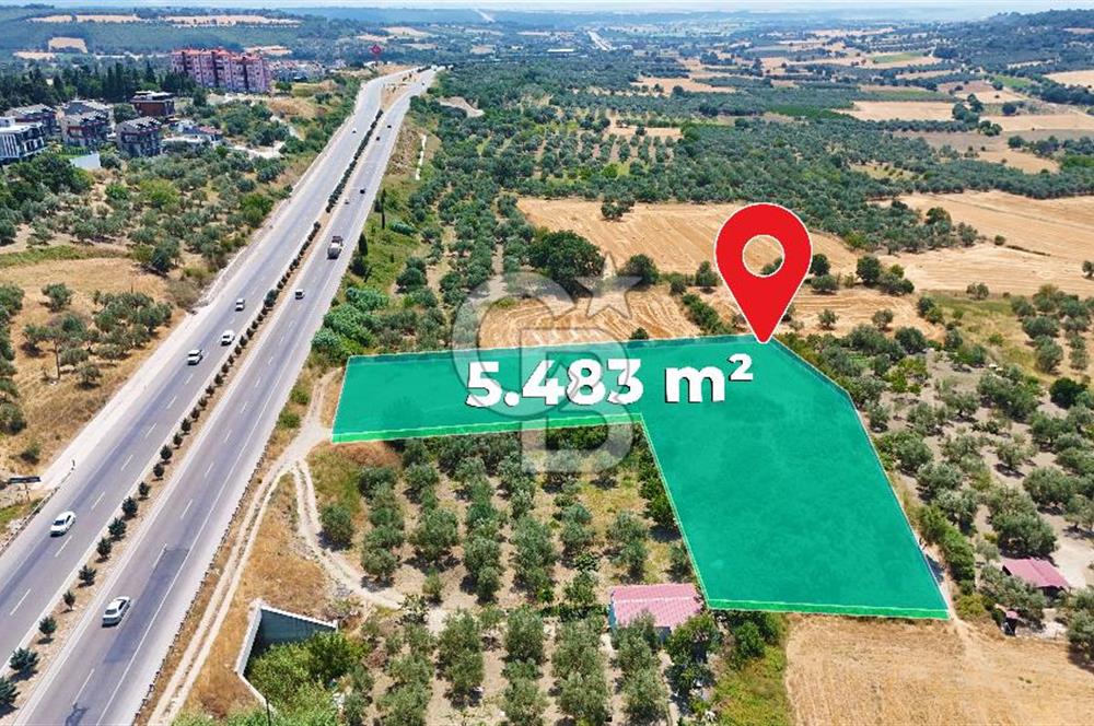 Çanakkale İntepe'de Yola 40m 5.483 M² Satılık Fırsat Tarla !