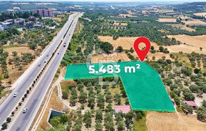 Çanakkale İntepe'de Yola 40m 5.483 M² Satılık Fırsat Tarla !