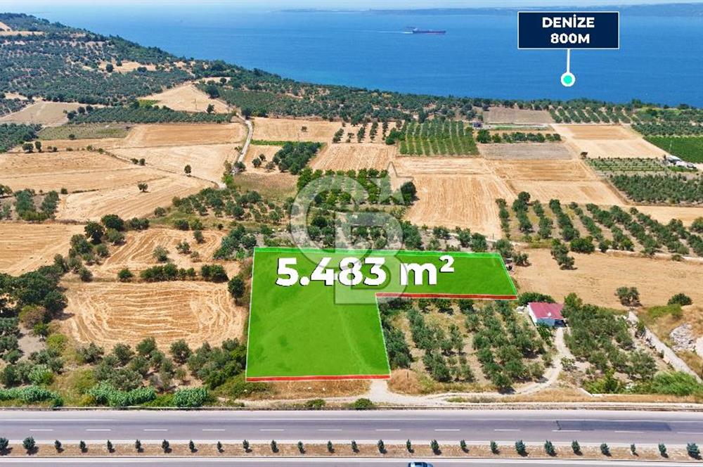 Çanakkale İntepe'de Yola 40m 5.483 M² Satılık Fırsat Tarla !