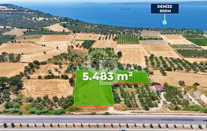 Çanakkale İntepe'de Yola 40m 5.483 M² Satılık Fırsat Tarla !