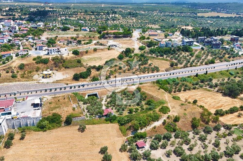 Çanakkale İntepe'de Yola 40m 5.483 M² Satılık Fırsat Tarla !