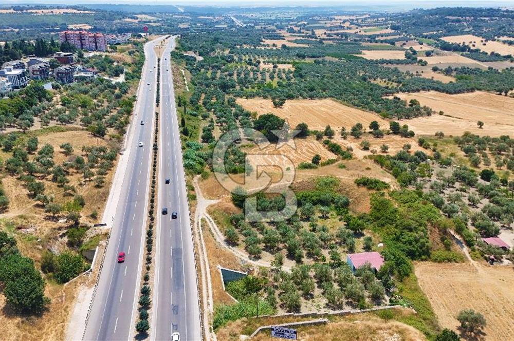 Çanakkale İntepe'de Yola 40m 5.483 M² Satılık Fırsat Tarla !