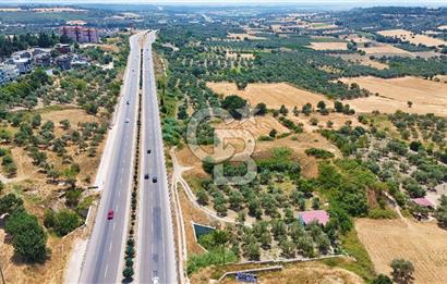 Çanakkale İntepe'de Yola 40m 5.483 M² Satılık Fırsat Tarla !