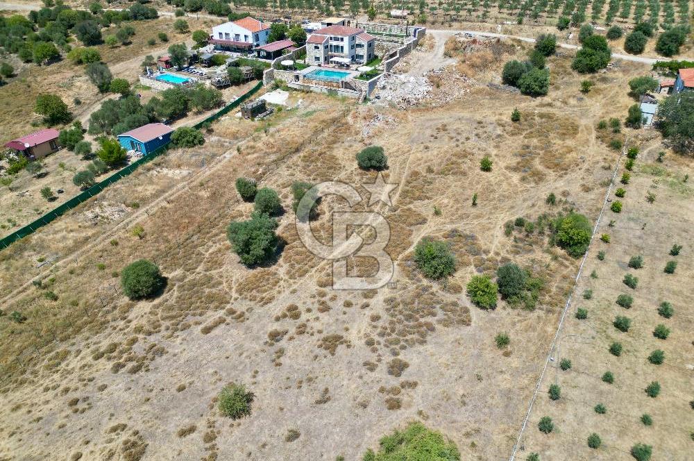 FOÇA YENİBAĞARASI 5002 M2 SATILIK TARLA