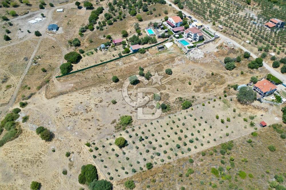 FOÇA YENİBAĞARASI 5002 M2 SATILIK TARLA