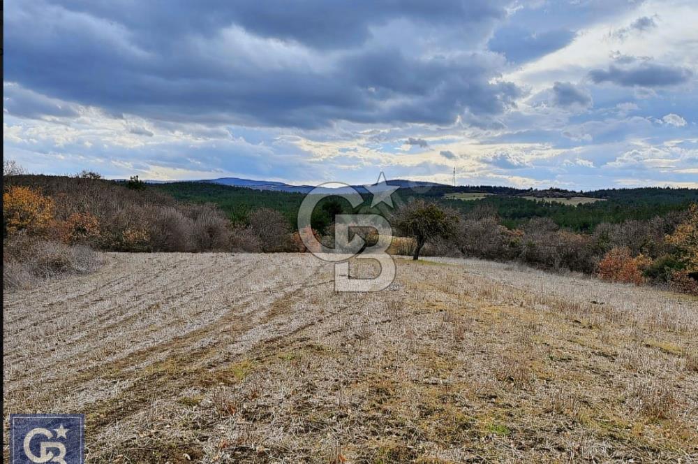 ÇANAKKALE LAPSEKİ MECİDİYE KÖYÜNDE SATILIK 4793 M² TARLA