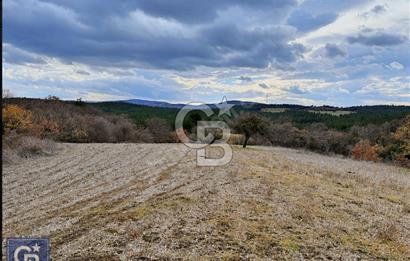 ÇANAKKALE LAPSEKİ MECİDİYE KÖYÜNDE SATILIK 4793 M² TARLA