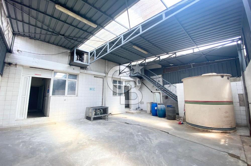 BORNOVA PINARBAŞI BOŞ 3 KATLI 255M2 İÇİ BAKIMLI İMALATHANE