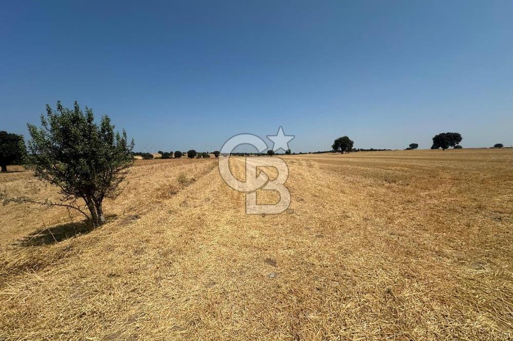 ÇANAKKALE GEYİKLİ KUMBURUN DA SATILIK 21 DÖNÜM TARLA