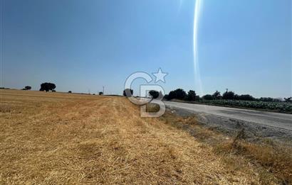 ÇANAKKALE GEYİKLİ KUMBURUN DA SATILIK 21 DÖNÜM TARLA