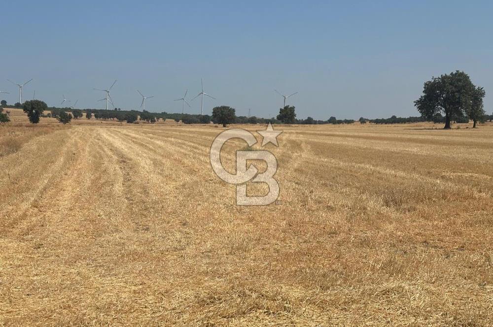 ÇANAKKALE GEYİKLİ KUMBURUN DA SATILIK 21 DÖNÜM TARLA