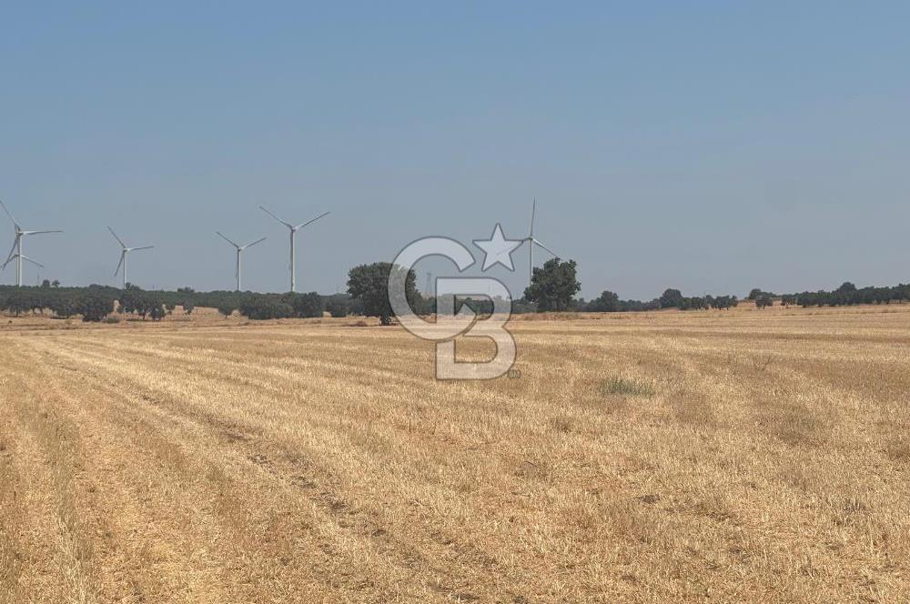 ÇANAKKALE GEYİKLİ KUMBURUN DA SATILIK 21 DÖNÜM TARLA