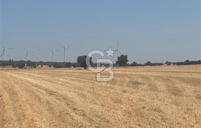 ÇANAKKALE GEYİKLİ KUMBURUN DA SATILIK 21 DÖNÜM TARLA