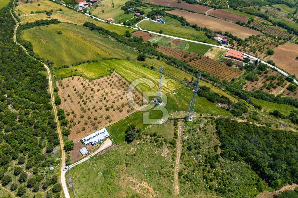 ÇANAKKALE LAPSEKİ İLYASKÖY SATILIK TARLA