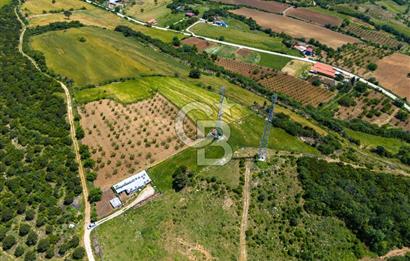 ÇANAKKALE LAPSEKİ İLYASKÖY SATILIK TARLA