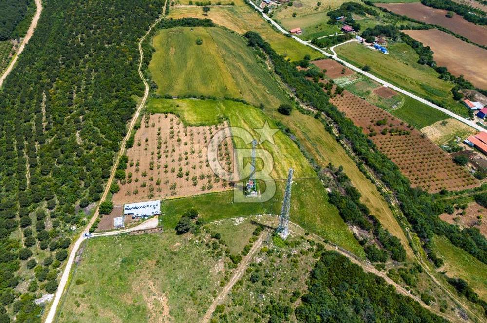 ÇANAKKALE LAPSEKİ İLYASKÖY SATILIK TARLA