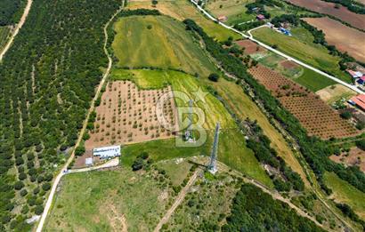 ÇANAKKALE LAPSEKİ İLYASKÖY SATILIK TARLA