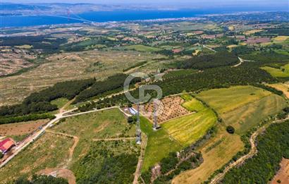 ÇANAKKALE LAPSEKİ İLYASKÖY SATILIK TARLA