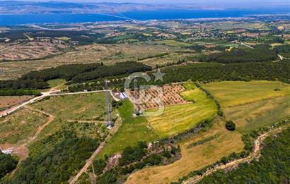 ÇANAKKALE LAPSEKİ İLYASKÖY SATILIK TARLA