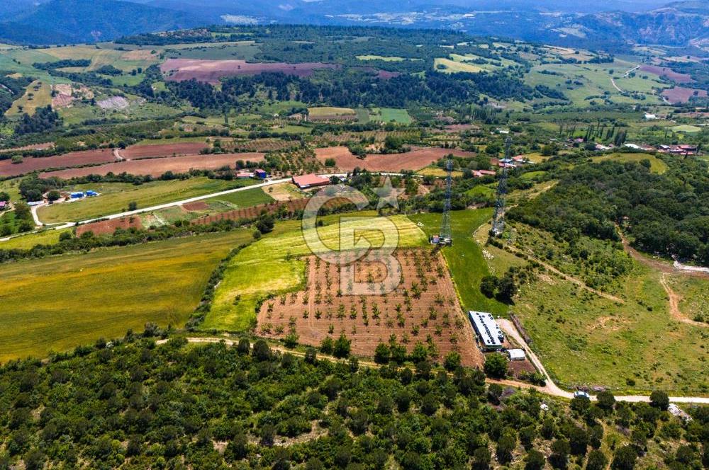 ÇANAKKALE LAPSEKİ İLYASKÖY SATILIK TARLA