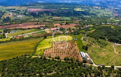 ÇANAKKALE LAPSEKİ İLYASKÖY SATILIK TARLA