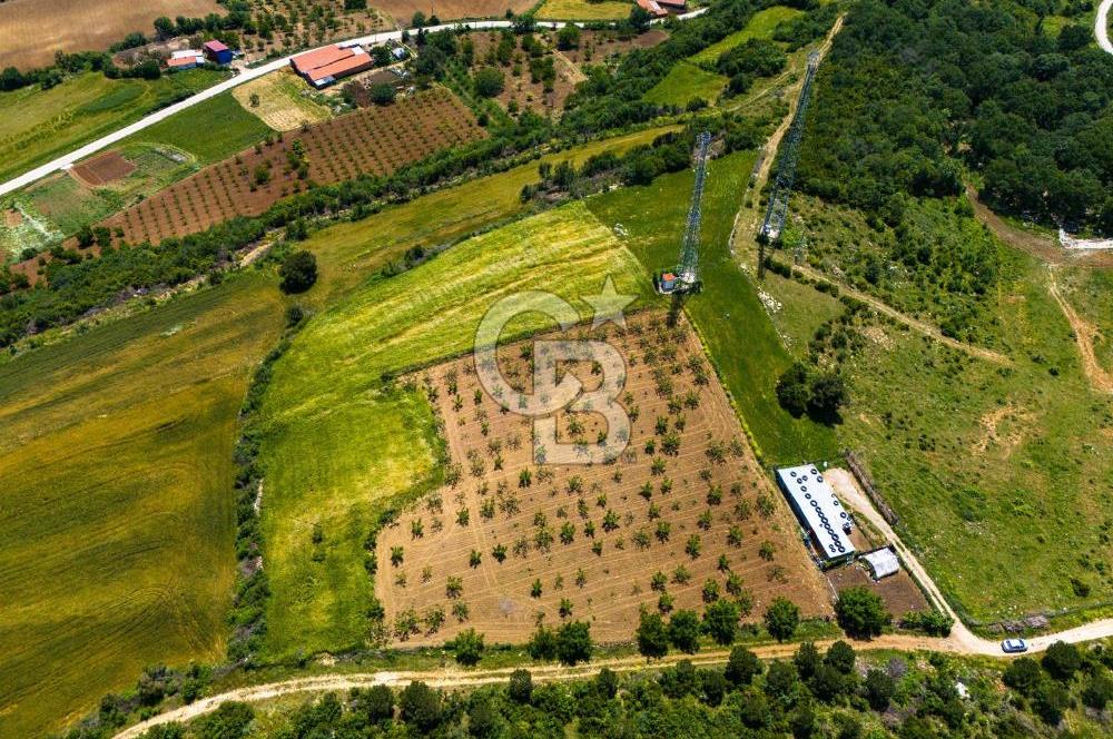 ÇANAKKALE LAPSEKİ İLYASKÖY SATILIK TARLA