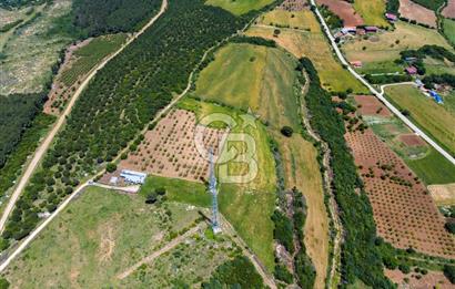 ÇANAKKALE LAPSEKİ İLYASKÖY SATILIK TARLA