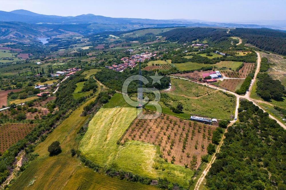 ÇANAKKALE LAPSEKİ İLYASKÖY SATILIK TARLA