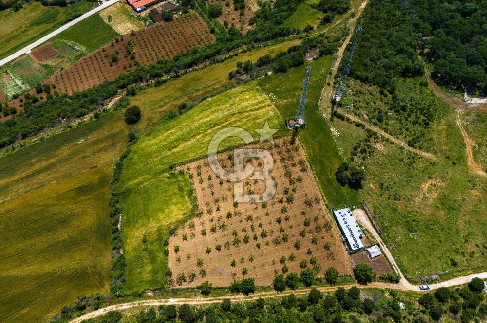 ÇANAKKALE LAPSEKİ İLYASKÖY SATILIK TARLA