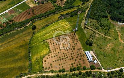 ÇANAKKALE LAPSEKİ İLYASKÖY SATILIK TARLA