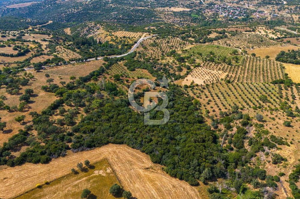 ÇANAKKALE EZİNE TAVAKLIDA FIRSAT TARLA