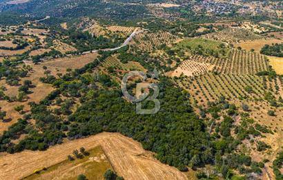 ÇANAKKALE EZİNE TAVAKLIDA FIRSAT TARLA