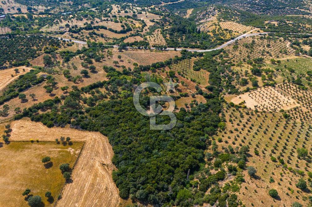 ÇANAKKALE EZİNE TAVAKLIDA FIRSAT TARLA