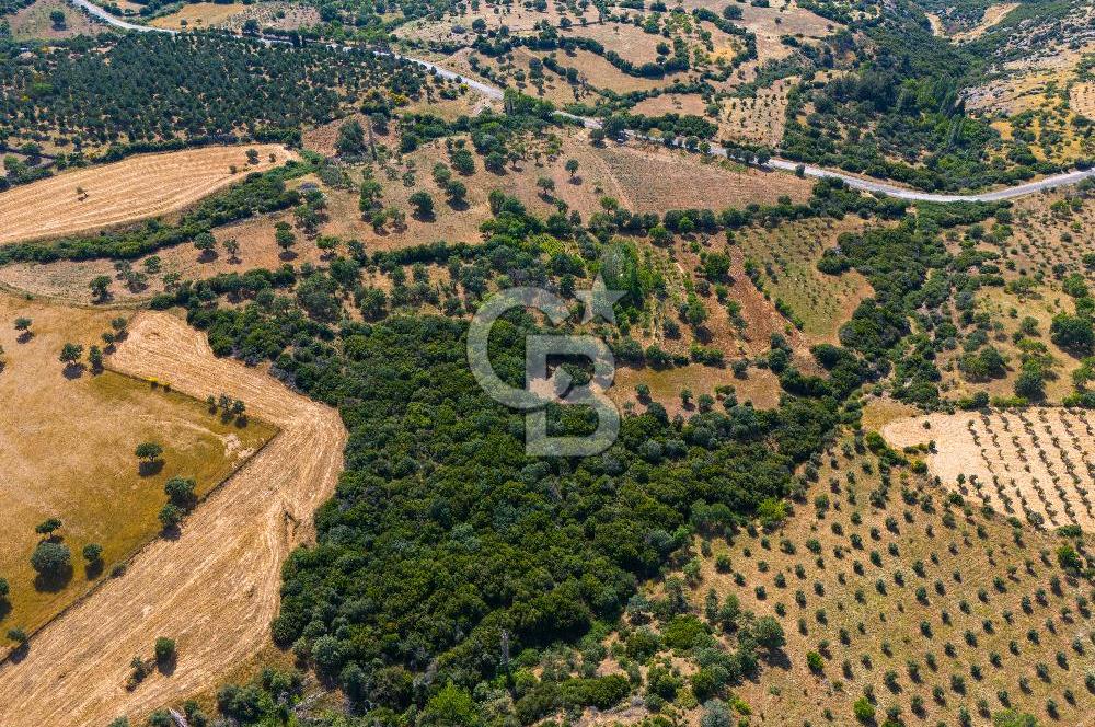 ÇANAKKALE EZİNE TAVAKLIDA FIRSAT TARLA